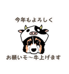 ゆるい黒コーギースタンプ 2【新しい冬】（個別スタンプ：14）