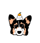 ゆるい黒コーギースタンプ 2【新しい冬】（個別スタンプ：15）