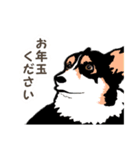 ゆるい黒コーギースタンプ 2【新しい冬】（個別スタンプ：16）