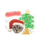 ねこカフェなる vol.3（個別スタンプ：1）