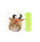 ねこカフェなる vol.3（個別スタンプ：5）