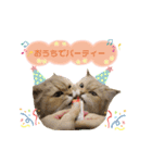 ねこカフェなる vol.3（個別スタンプ：6）