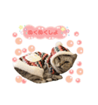 ねこカフェなる vol.3（個別スタンプ：7）