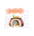 ねこカフェなる vol.3（個別スタンプ：8）