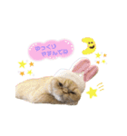 ねこカフェなる vol.3（個別スタンプ：10）