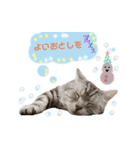 ねこカフェなる vol.3（個別スタンプ：11）