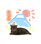 ねこカフェなる vol.3（個別スタンプ：12）