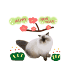 ねこカフェなる vol.3（個別スタンプ：13）