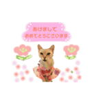 ねこカフェなる vol.3（個別スタンプ：14）