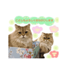 ねこカフェなる vol.3（個別スタンプ：16）