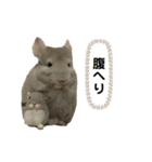 とうふとつみれそしてもちきん（個別スタンプ：2）