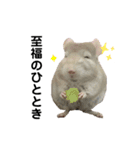 とうふとつみれそしてもちきん（個別スタンプ：4）