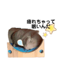 とうふとつみれそしてもちきん（個別スタンプ：5）