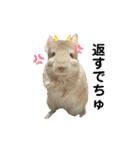 とうふとつみれそしてもちきん（個別スタンプ：10）