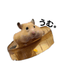 とうふとつみれそしてもちきん（個別スタンプ：11）