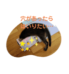 猫ママ（個別スタンプ：1）