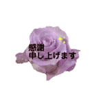 薔薇の花の日常言葉（個別スタンプ：11）