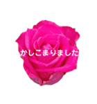 薔薇の花の日常言葉（個別スタンプ：14）