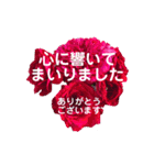 薔薇の花の日常言葉（個別スタンプ：22）