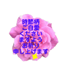 薔薇の花の日常言葉（個別スタンプ：25）