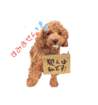 きゅーとのあいさつすたんぷ（個別スタンプ：1）