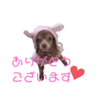 きゅーとのあいさつすたんぷ（個別スタンプ：6）