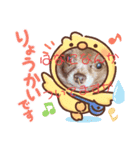 きゅーとのあいさつすたんぷ（個別スタンプ：8）