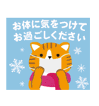 ずっと使える大人のクリスマス（冬+正月）（個別スタンプ：21）