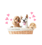 RON＆NERO（個別スタンプ：4）