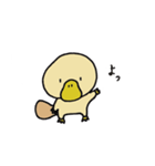 カモノハシのはっしー（個別スタンプ：1）