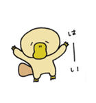 カモノハシのはっしー（個別スタンプ：6）