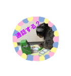 コモンマーモセット らむね君（個別スタンプ：6）
