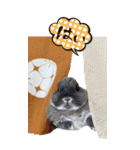 うさぎの小次郎（個別スタンプ：2）