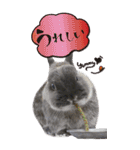 うさぎの小次郎（個別スタンプ：4）
