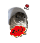 うさぎの小次郎（個別スタンプ：9）