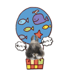 うさぎの小次郎（個別スタンプ：11）