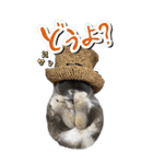 うさぎの小次郎（個別スタンプ：18）