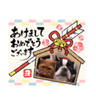フレブル へーたん(年末年始)（個別スタンプ：1）