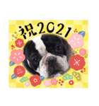 フレブル へーたん(年末年始)（個別スタンプ：2）