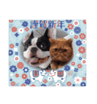 フレブル へーたん(年末年始)（個別スタンプ：3）