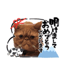 フレブル へーたん(年末年始)（個別スタンプ：5）