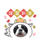 フレブル へーたん(年末年始)（個別スタンプ：8）