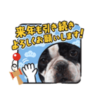 フレブル へーたん(年末年始)（個別スタンプ：9）