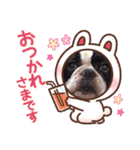 フレブル へーたん(年末年始)（個別スタンプ：21）