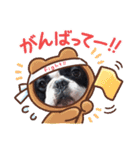 フレブル へーたん(年末年始)（個別スタンプ：22）