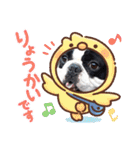 フレブル へーたん(年末年始)（個別スタンプ：24）