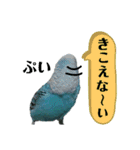 わが家のインコ達 2 +（個別スタンプ：18）