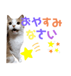 ひこ＆くにゃ(敬語)（個別スタンプ：1）