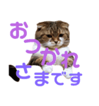 ひこ＆くにゃ(敬語)（個別スタンプ：3）
