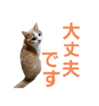 ひこ＆くにゃ(敬語)（個別スタンプ：6）